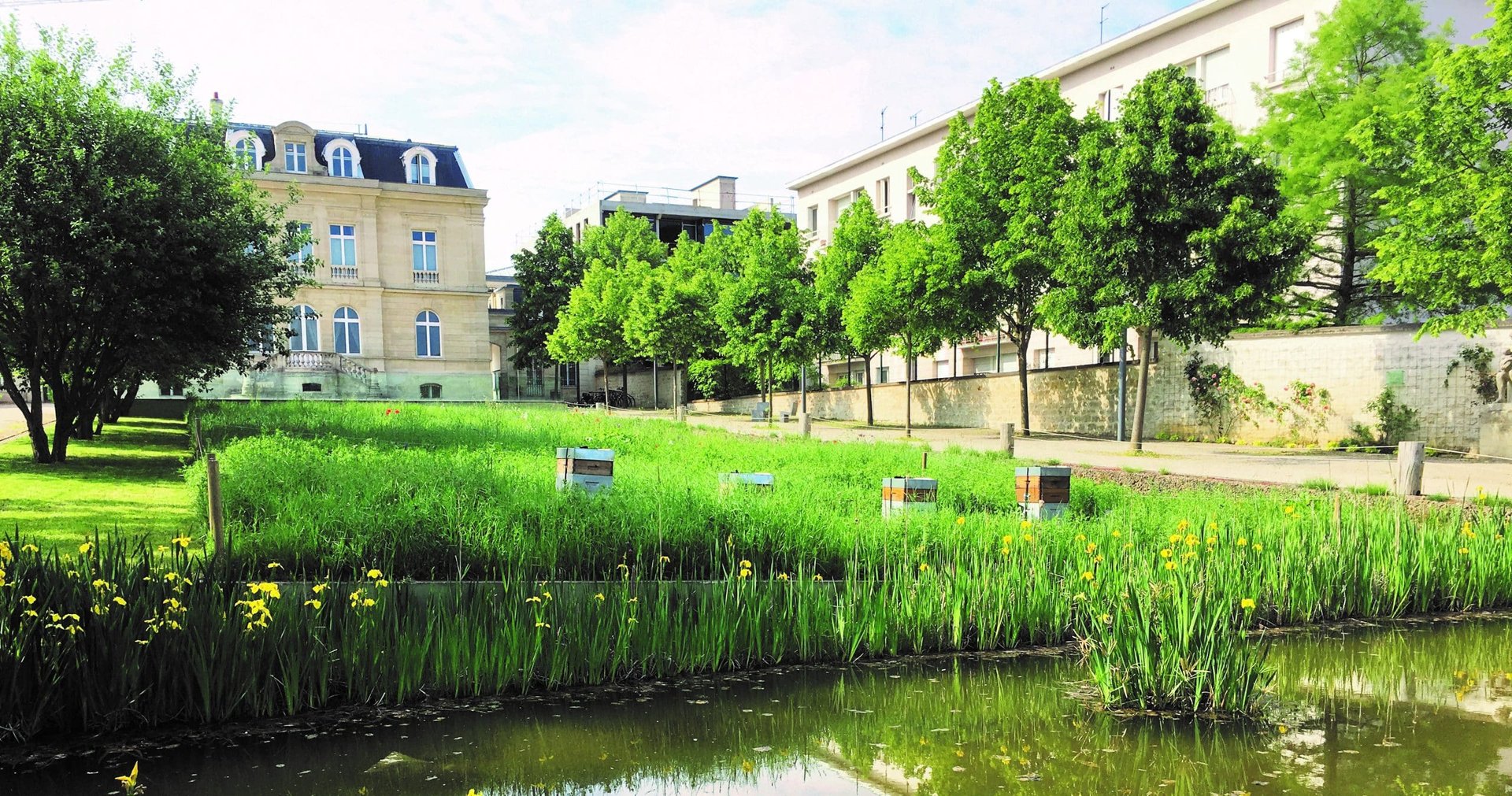 Bassin planté et maison de maître dans un parc à Sceaux